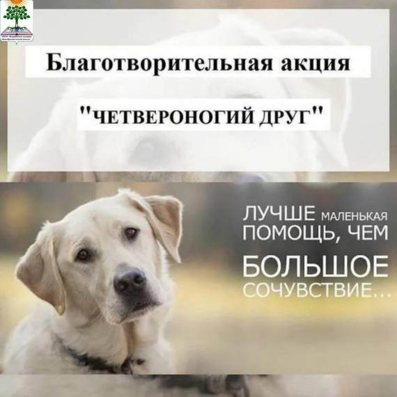 Четвероногие друзья!.